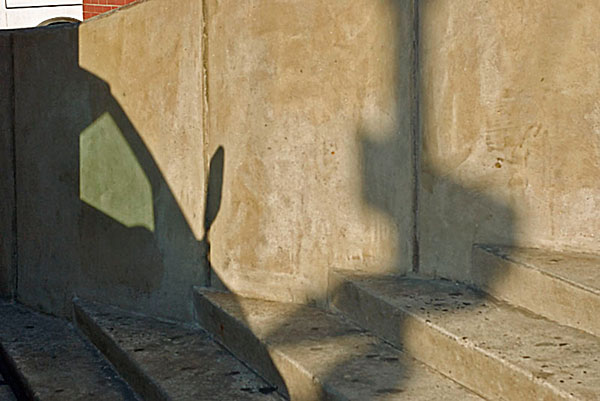 photography by John Matturri