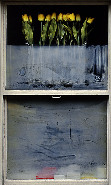 photography by John Matturri