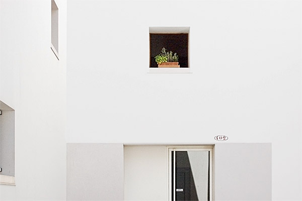 photography by John Matturri