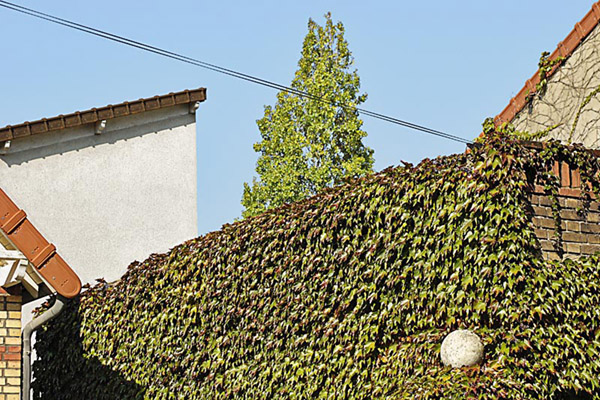 photography by John Matturri