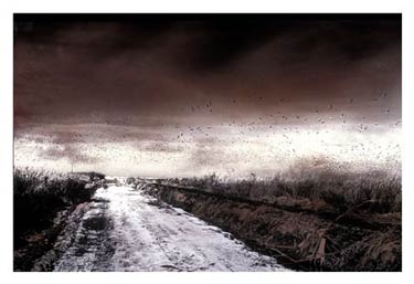 photography by Denny Moers