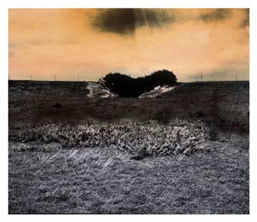 photography by Denny Moers