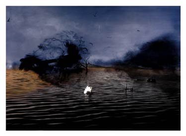 photography by Denny Moers