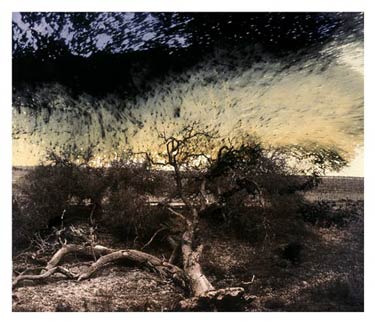 photography by Denny Moers