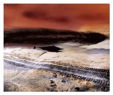 photography by Denny Moers