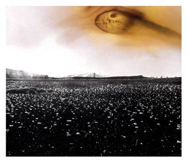 photography by Denny Moers