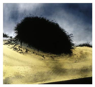 photography by Denny Moers