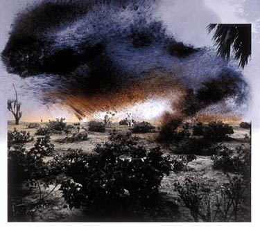 photography by Denny Moers