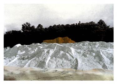 photography by Denny Moers