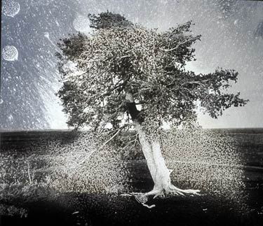 photography by Denny Moers