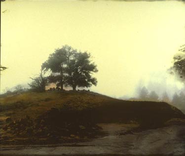 photography by Denny Moers