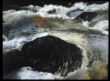 photography by Denny Moers