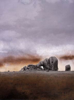 photography by Denny Moers