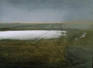 photography by Denny Moers