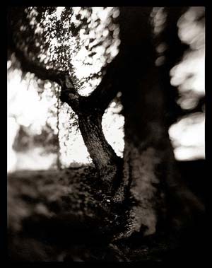 photography by Derek Mohr