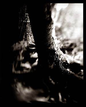 photography by Derek Mohr