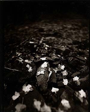 photography by Derek Mohr