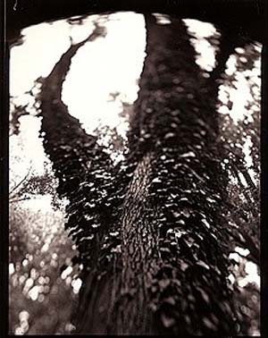 photography by Derek Mohr