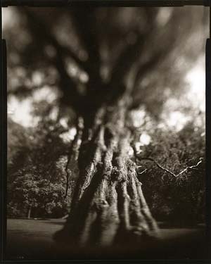 photography by Derek Mohr