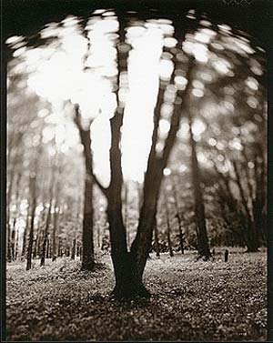 photography by Derek Mohr