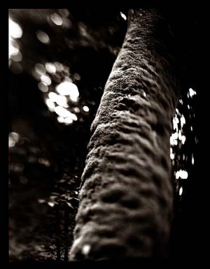 photography by Derek Mohr