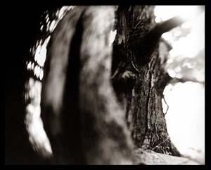 photography by Derek Mohr