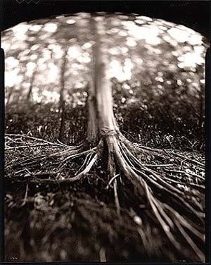 photography by Derek Mohr