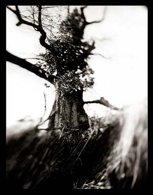 photography by Derek Mohr