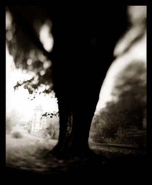 photography by Derek Mohr