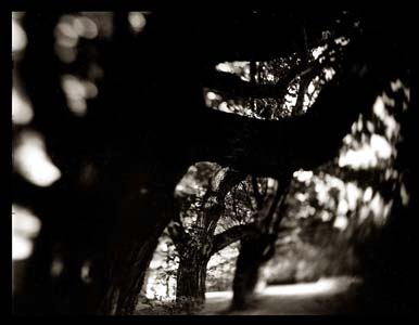 photography by Derek Mohr