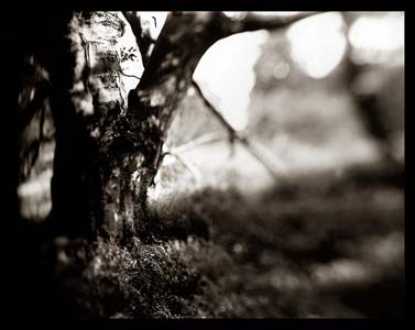 photography by Derek Mohr
