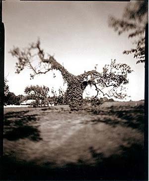 photography by Derek Mohr