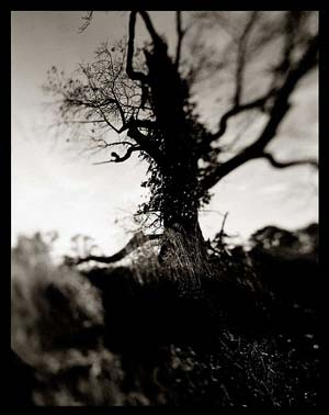 photography by Derek Mohr
