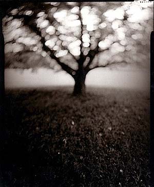 photography by Derek Mohr
