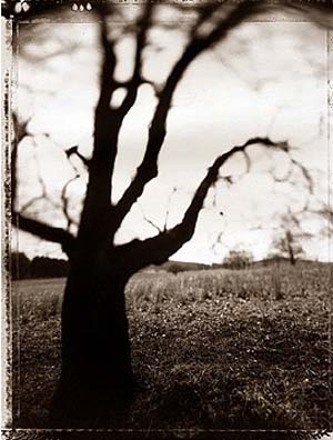 photography by Derek Mohr