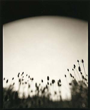 photography by Derek Mohr