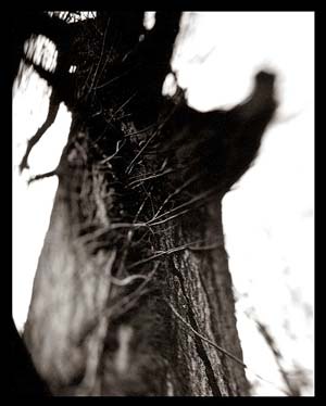 photography by Derek Mohr