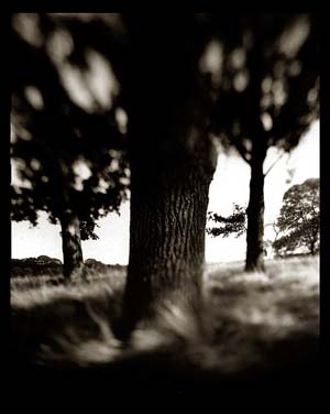 photography by Derek Mohr