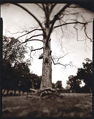 photography by Derek Mohr