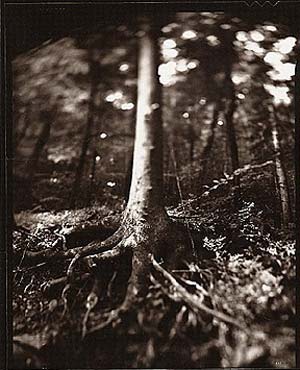 photography by Derek Mohr