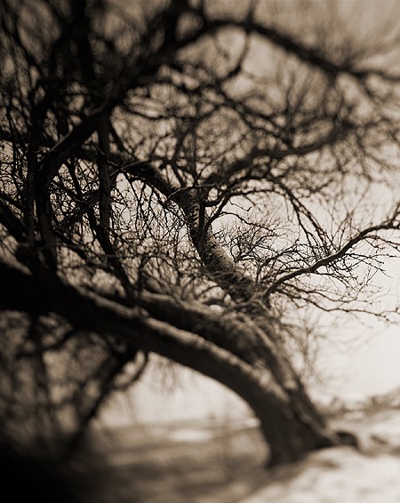 photography by Derek Mohr