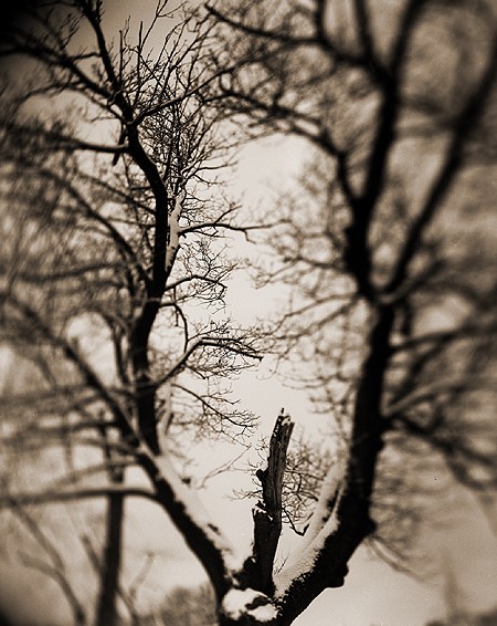 photography by Derek Mohr