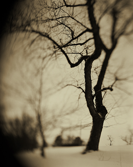 photography by Derek Mohr