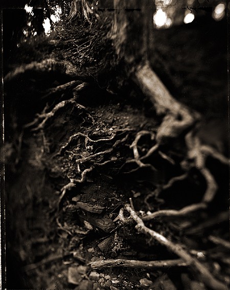 photography by Derek Mohr