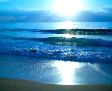 photography by Christian Mushenko