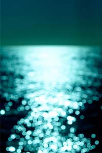 photography by Christian Mushenko