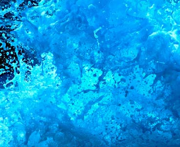 photography by Christian Mushenko