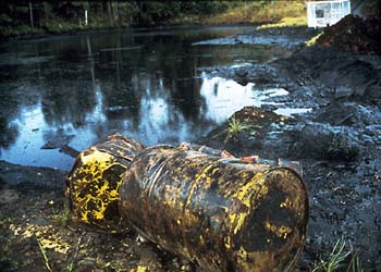 photography by Laura Nash