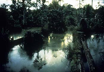 photography by Laura Nash