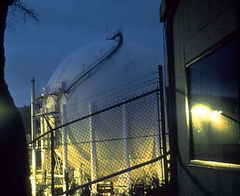 photography by Laura Nash